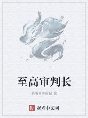 至高审判长至高审判长